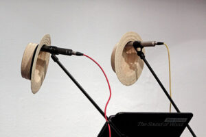 Two straw hats hanging over two microphones on stage :)